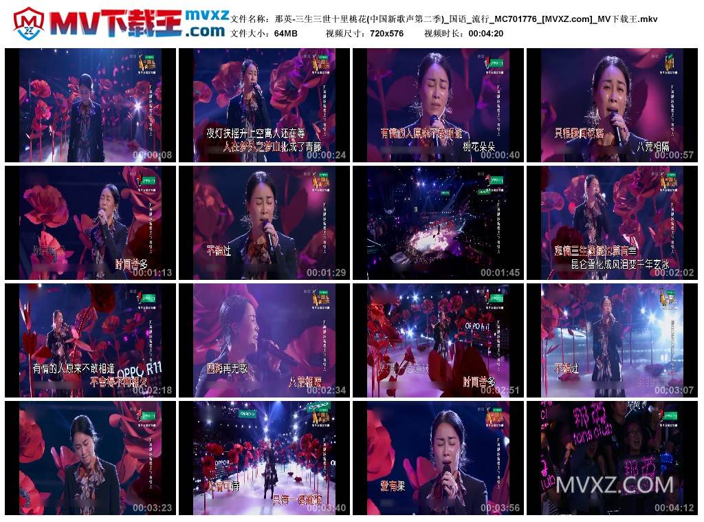 那英-三生三世十里桃花(中国新歌声第二季)_国语_流行_MC701776